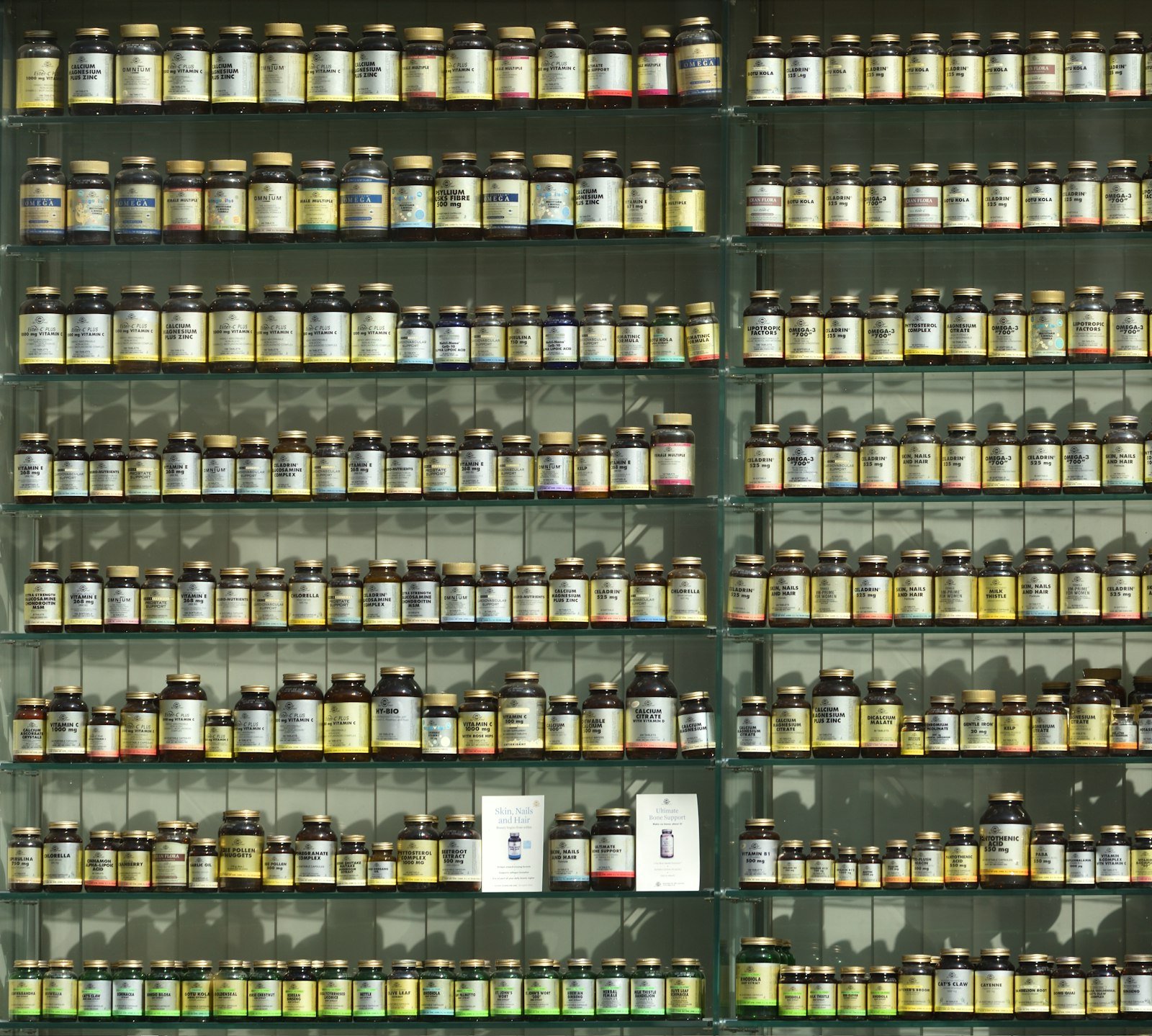 Healthcare & Wellness – Ss Infoserve, Delhi NCR